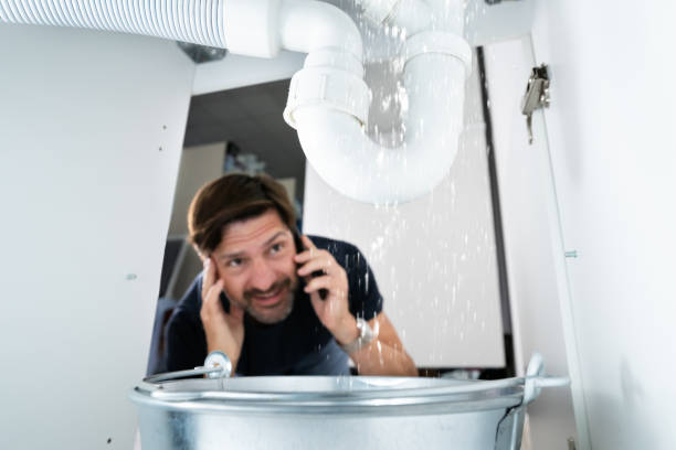Professional Plumbing in Farmersville, TX