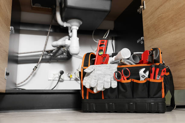 Best Toilet Repair Services  in Farmersville, TX