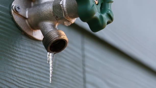 Best Best Plumbers Near Me  in Farmersville, TX